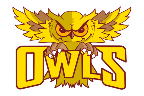 Guildford Owls JRLC